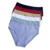 7c9d8d68-4ea8-4332-8946-0b1df688e08a.jpg Underwear Plus Size Cotton Triangle Women's Medium High Waist
